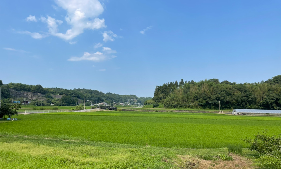 豊後大野の自然